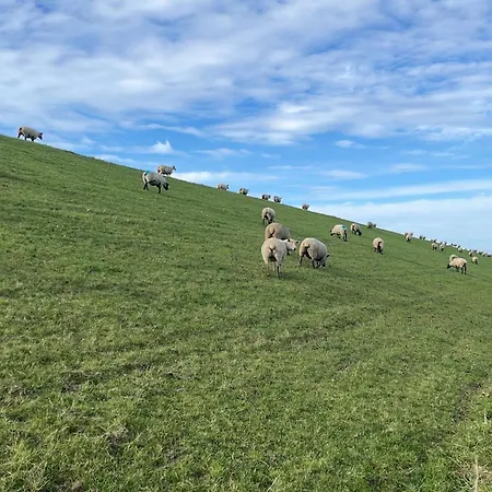 Appartamento Lenis Deichblick Friedrichskoog Esterno foto